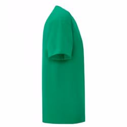 Fruit Of The Loom - T-shirt manches courtes ICONIC -  Unisexe (Vert)