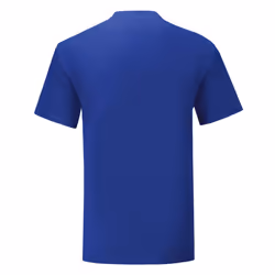 Fruit Of The Loom - T-shirt ICONIC - Hommes (Bleu)