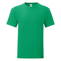 Fruit Of The Loom - T-shirt ICONIC - Hommes (Vert)