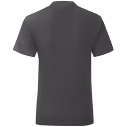 Fruit Of The Loom - T-shirt ICONIC - Hommes (Gris foncé)
