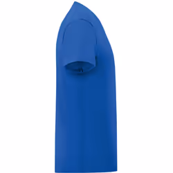 Fruit Of The Loom - T-shirt ICONIC - Hommes (Bleu roi)