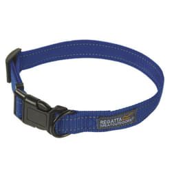 Regatta - Collier pour chien - Taille 45-70 cm (Bleu)
