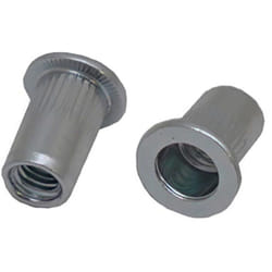 Rs Pro - Rivet Acier Gris longueur 15.5mm diamètre 8.9mm M6 ( Prix pour Sachet de 100 )
