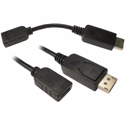 Connecteur A = DisplayPort Mâle Connecteur B = Adaptateur HDMI femelle Longueur = 15cm Couleur de gaine = Noir Genre du conne ...