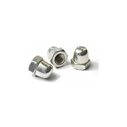 Ecrou borgne, Filetage 1/4-28pouce Rs Pro en Acier ( Prix pour Paquet de 100 )