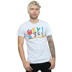 Disney - T-shirt FRIENDS HEY - Homme (Gris chiné)