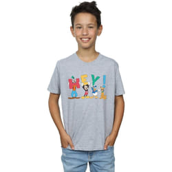 Disney - T-shirt FRIENDS HEY - Garçon (Gris chiné)