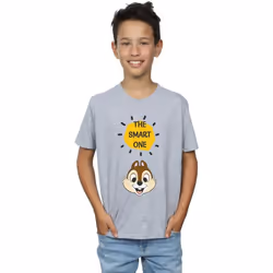 Disney - T-shirt CHIP N DALE THE SMART ONE - Garçon (Gris chiné)