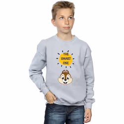 Disney - Sweat CHIP N DALE THE SMART ONE - Garçon (Gris chiné)