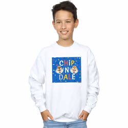 Disney - Sweat CHIP N DALE - Garçon (Blanc)