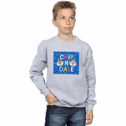 Disney - Sweat CHIP N DALE - Garçon (Gris chiné)