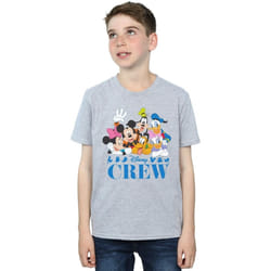 Disney - T-shirt DISNEY FRIENDS - Garçon (Gris chiné)