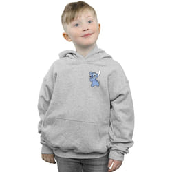 Disney - Sweat à capuche - Garçon (Gris chiné)