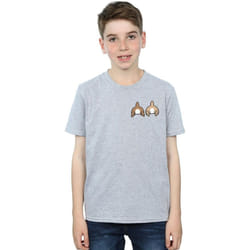 Disney - T-shirt CHIP N DALE - Garçon (Gris chiné)