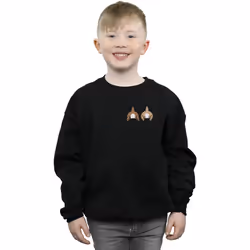 Disney - Sweat CHIP N DALE - Garçon (Noir)