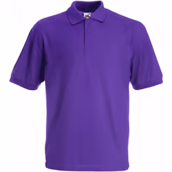 Fruit Of The Loom - Polo à manches courtes - Enfant (Lot de 2) (Violet)