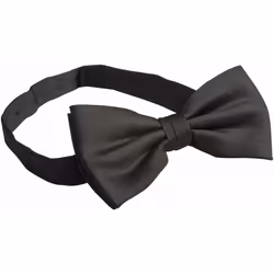Premier - Noeud papillon - Homme (Lot de 2) (Noir)