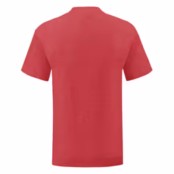 Fruit Of The Loom - T-shirt ICONIC - Hommes (Rouge chiné)