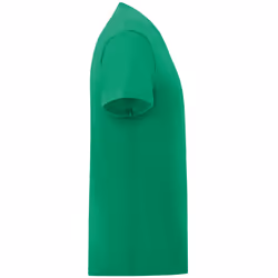 Fruit Of The Loom - T-shirt ICONIC - Hommes (Vert)