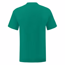 Fruit Of The Loom - T-shirt ICONIC - Hommes (Vert chiné)