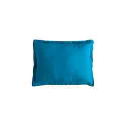Trespass - Oreiller de voyage SNOOZEFEST (Bleu)