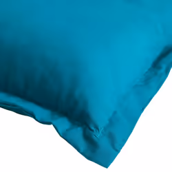 Trespass - Oreiller de voyage SNOOZEFEST (Bleu)