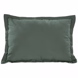 Trespass - Oreiller de voyage SNOOZEFEST (Vert bouteille)