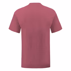 Fruit Of The Loom - T-shirt ICONIC - Hommes (Bordeaux chiné)