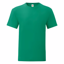 Fruit Of The Loom - T-shirt ICONIC - Hommes (Vert)