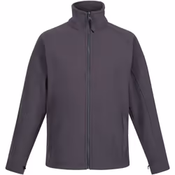 Regatta - Polaire THOR - Femme (Gris)