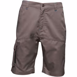 Regatta - Short HEROIC - Homme (Gris)