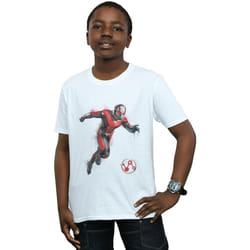 Marvel - T-shirt AVENGERS ENDGAME - Garçon (Blanc)
