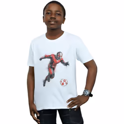 Marvel - T-shirt AVENGERS ENDGAME - Garçon (Blanc)