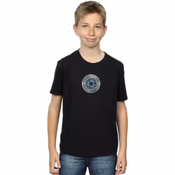 Marvel - T-shirt AVENGERS ENDGAME - Garçon (Noir)