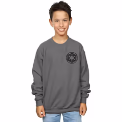 Star Wars - Sweat THE MANDALORIAN GALACTIC EMPIRE - Garçon (Charbon)