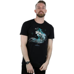 Disney - T-shirt FROZEN THE WATER SPIRIT - Homme (Noir)