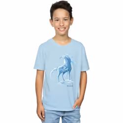 Disney - T-shirt FROZEN THE WATER SPIRIT - Garçon (Bleu ciel)