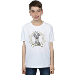 Disney - T-shirt LADY AND THE TRAMP TRAMP SINCE - Garçon (Blanc)