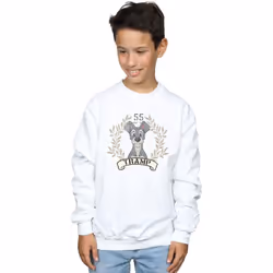 Disney - Sweat LADY AND THE TRAMP TRAMP SINCE - Garçon (Blanc)