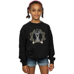 Disney - Sweat LADY AND THE TRAMP TRAMP SINCE - Fille (Noir)