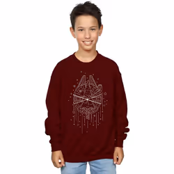 Star Wars - Sweat MILLENNIUM DELIVERY - Garçon (Bordeaux)