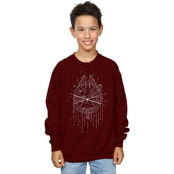 Star Wars - Sweat MILLENNIUM DELIVERY - Garçon (Bordeaux)