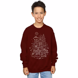 Star Wars - Sweat EMPIRE - Garçon (Bordeaux)