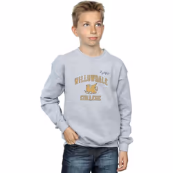 Disney - Sweat ONWARD WILLOWDALE COLLEGE - Garçon (Gris chiné)