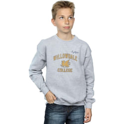 Disney - Sweat ONWARD WILLOWDALE COLLEGE - Garçon (Gris chiné)