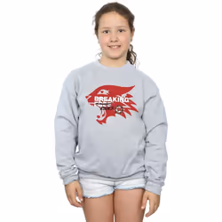 Disney - Sweat HIGH SCHOOL MUSICAL THE MUSICAL BREAKING RULES - Fille (Gris chiné)