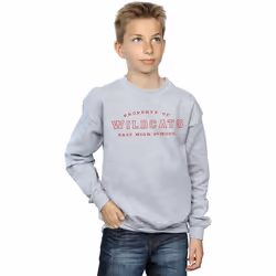 Disney - Sweat HIGH SCHOOL MUSICAL THE MUSICAL PROPERTY OF WILDCATS - Garçon (Gris chiné)