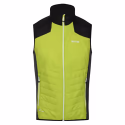 Regatta Halton VI Gilet chauffant léger pour homme | Vert, L, Chauffe-corps, Mâle, Adulte, L, SML, Citron vert, Noir