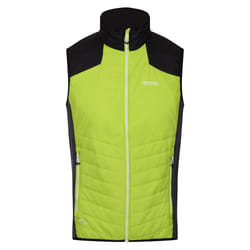 Regatta Halton VI Gilet chauffant léger pour homme | Vert, L