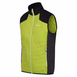 Regatta Halton VI Gilet chauffant léger pour homme | Vert, L